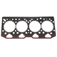 AGCO Head Gasket 4224501M1 Parts - True Ag & Turf