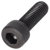 AGCO HEX SOCKET SCREW V581704620 Parts - True Ag & Turf