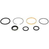 AGCO Seal Kit 72073364 Parts - True Ag & Turf