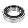 AGCO CYLINDER ROLLER BEARING 72378609 Parts - True Ag & Turf