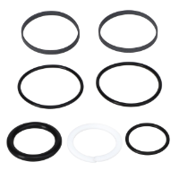 AGCO SEALS KIT 70266683 Parts - True Ag & Turf