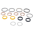 AGCO SEALS KIT VA049043 Parts - True Ag & Turf