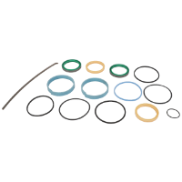 AGCO SEAL KIT 71396624 Parts - True Ag & Turf