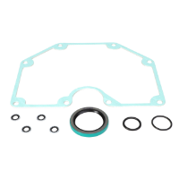 AGCO Seal Kit W248005BS Parts - True Ag & Turf