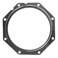 AGCO GASKET 7064602M1 Parts - True Ag & Turf