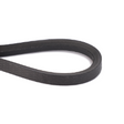 AGCO V BELT 72641875 Parts - True Ag & Turf