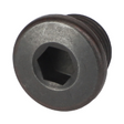 AGCO PLUG 7070046M1 Parts - True Ag & Turf
