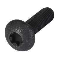 AGCO TORX HEAD SCREW CH9X-2039