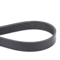 AGCO Serpentine Belt, PK6 Profile 569990D1 Parts - True Ag & Turf