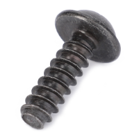 AGCO Screw 4355255M1 Parts - True Ag & Turf