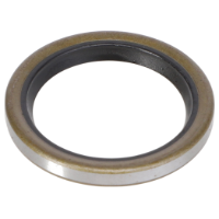 AGCO Oil Seal 3819523M1 Parts - True Ag & Turf