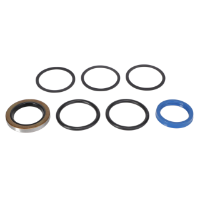 AGCO Seal Kit 79019102 Parts - True Ag & Turf