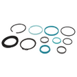 AGCO SEAL SET HYDRAULIC CYLINDER 72485345 Parts - True Ag & Turf