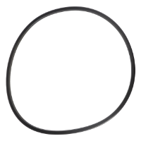 AGCO O-RING 74336897 Parts - True Ag & Turf