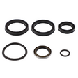 AGCO Seal Kit 1R3055 Parts - True Ag & Turf