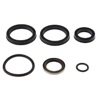 AGCO Seal Kit 1R3055 Parts - True Ag & Turf