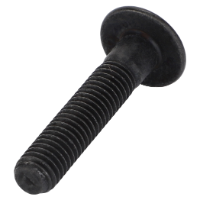 AGCO TORX HEAD SCREW ACW8111870  - True Ag & Turf