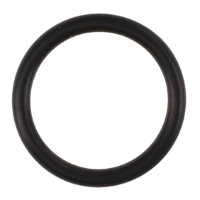 AGCO O-RING AG053495 Parts - True Ag & Turf