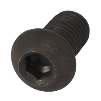 AGCO SCREW 912-1010 Parts - True Ag & Turf