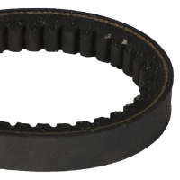 AGCO BELT 70207003V Parts - True Ag & Turf
