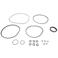 AGCO SEALS KIT 70272375 Parts - True Ag & Turf