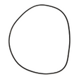 AGCO O-RING 70932824 Parts - True Ag & Turf