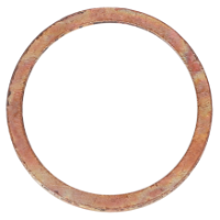 AGCO SEALING RING 1118713 Parts - True Ag & Turf