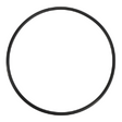 AGCO O-RING 70934917 Parts - True Ag & Turf