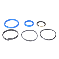 AGCO SEAL KIT ACP0019070 Parts - True Ag & Turf