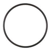 AGCO O-RING 6251210M1 Parts - True Ag & Turf