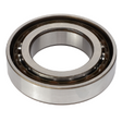 AGCO Bearing V610072109 Parts - True Ag & Turf