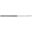 AGCO Gas Strut, Combiners 71446898 Parts - True Ag & Turf