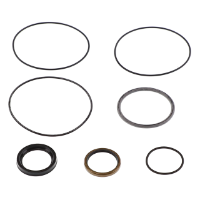 AGCO SEAL KIT 7070118M91 Parts - True Ag & Turf