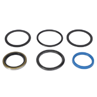 AGCO Seal Kit 71512053 Parts - True Ag & Turf