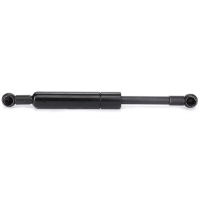 AGCO Gas Strut, Chassis 72442548 Parts - True Ag & Turf