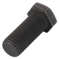 AGCO SCREW 2125711K1 Parts - True Ag & Turf