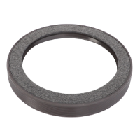 AGCO RADIAL SEALING RING 72332982 Parts - True Ag & Turf