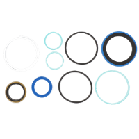 AGCO Seal Kit, Hydraulic Cylinder 72347118 Parts - True Ag & Turf