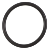 AGCO O-RING 855231 Parts - True Ag & Turf