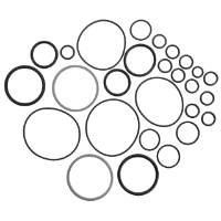 AGCO SEAL SET 72642430 Parts - True Ag & Turf