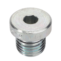 AGCO PLUG 3011099X91 Parts - True Ag & Turf