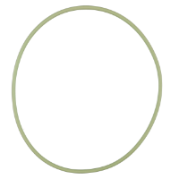 AGCO O-RING 700737576 Parts - True Ag & Turf