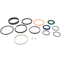 AGCO Seal Kit WR128061 Parts - True Ag & Turf