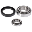 AGCO Wheel Bearing Kit 1810320M91 Parts - True Ag & Turf