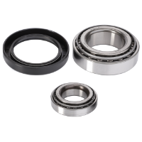 AGCO Wheel Bearing Kit 1810320M91 Parts - True Ag & Turf