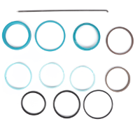 AGCO Seal Kit, Hydraulic Lift Cylinder 72493798 Parts - True Ag & Turf