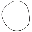 AGCO O-RING AG057955 Parts - True Ag & Turf