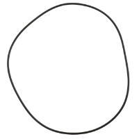 AGCO O-RING AG057955 Parts - True Ag & Turf