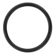 AGCO O-RING 1749440M1 Parts - True Ag & Turf