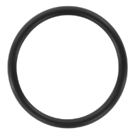 AGCO O-RING 1749440M1 Parts - True Ag & Turf